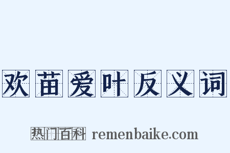 欢苗爱叶反义词是什么意思的图片